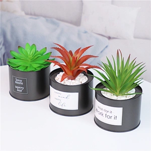 planta en maceta