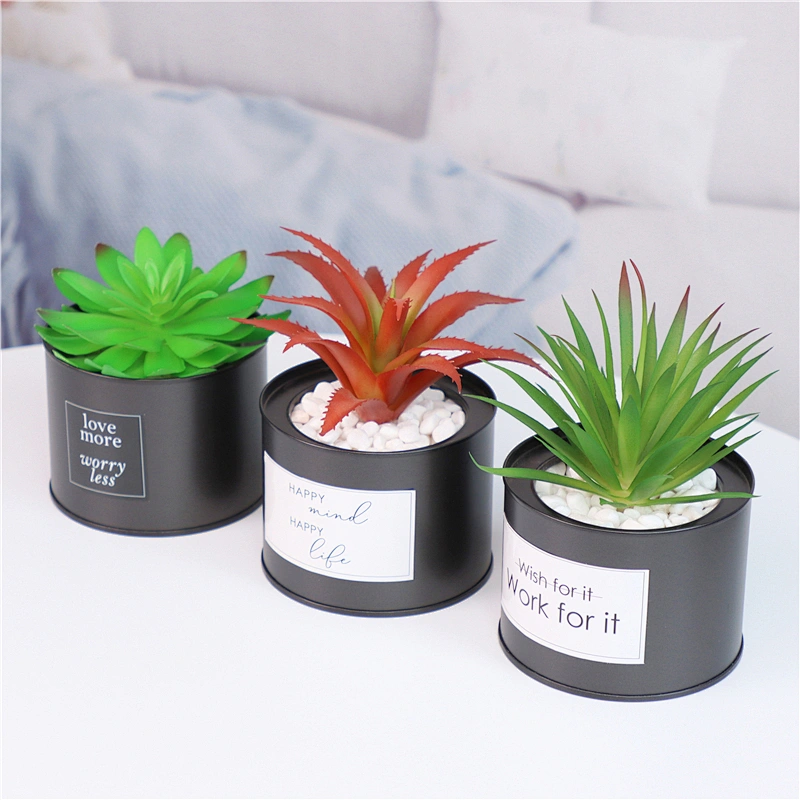 planta en maceta