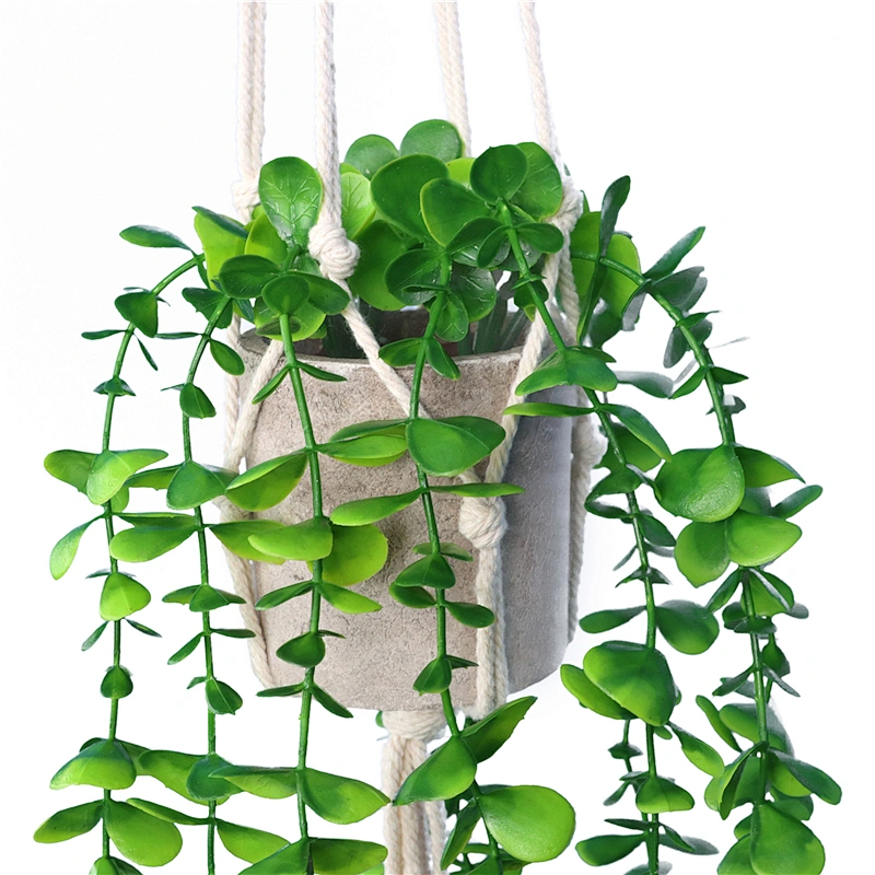 planta en maceta