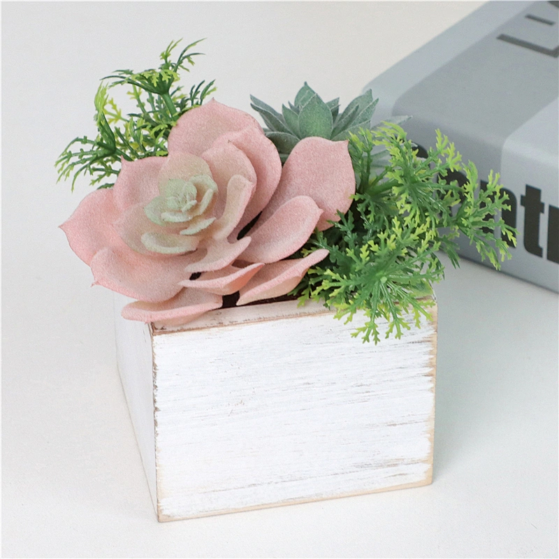 Assorted Small Potted Succulents Plants in Wooden Pot