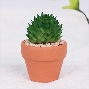 planta en maceta