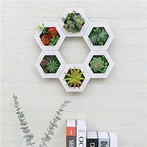 Hanging 3D Hexagon Frame  Plastic Flower Plants Greenery Wall Art