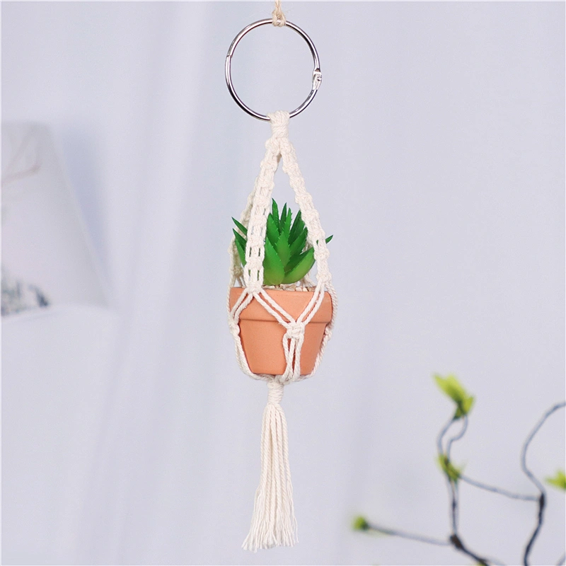 planta en maceta