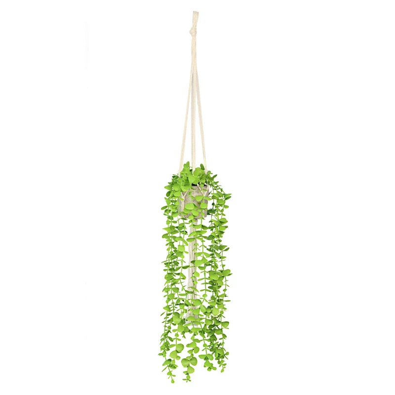 planta en maceta