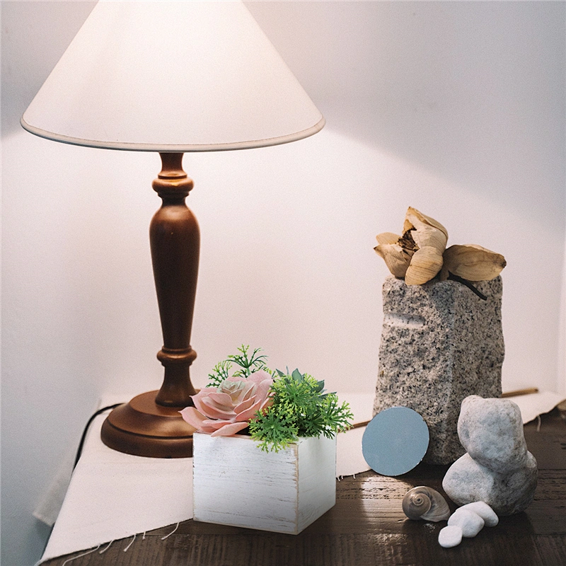 Assorted Small Potted Succulents Plants in Wooden Pot