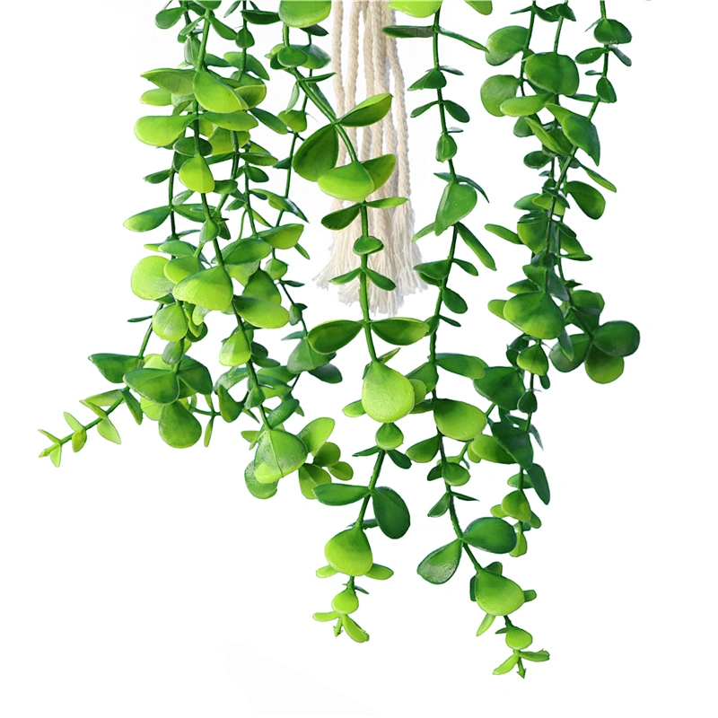 planta en maceta