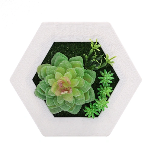 Hanging 3D Hexagon Frame  Plastic Flower Plants Greenery Wall Art