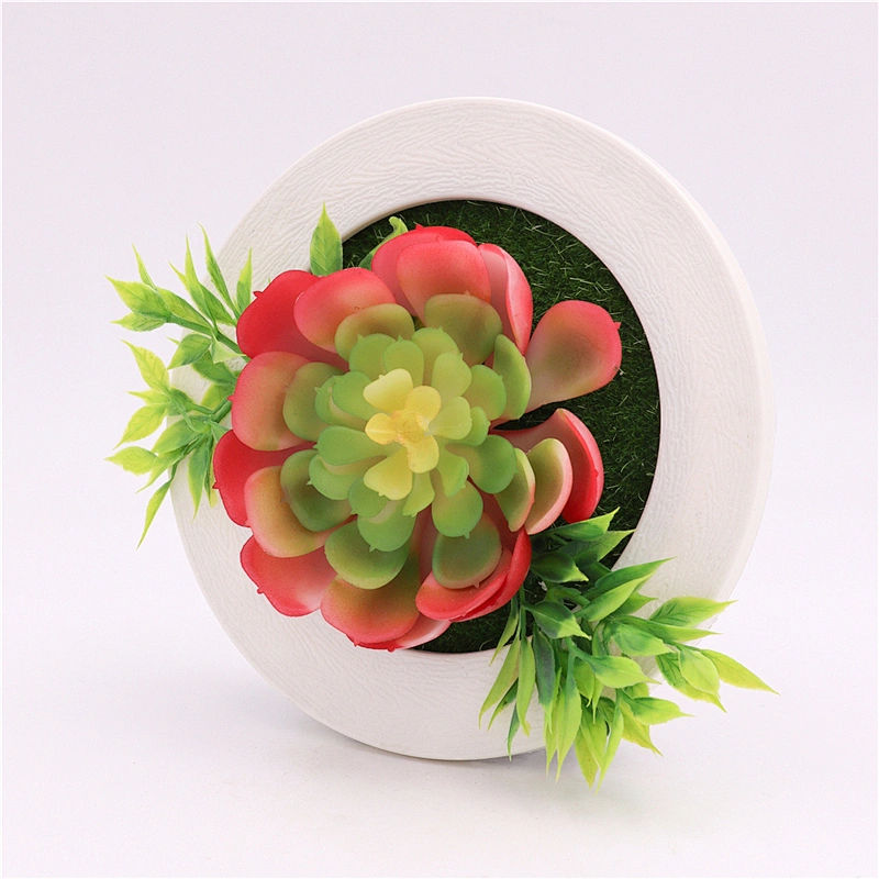 Fake Succulents Plastic Round Frame Hanging Design for Room