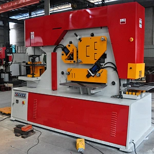 Hydraulic Ironworker HIW-250