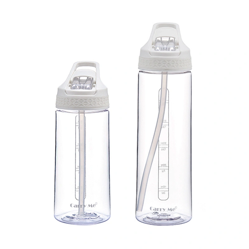 650ml custom motivational insulated drinking water bottle with straw plastic 500ml