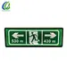 Disaster avoidance guide light
