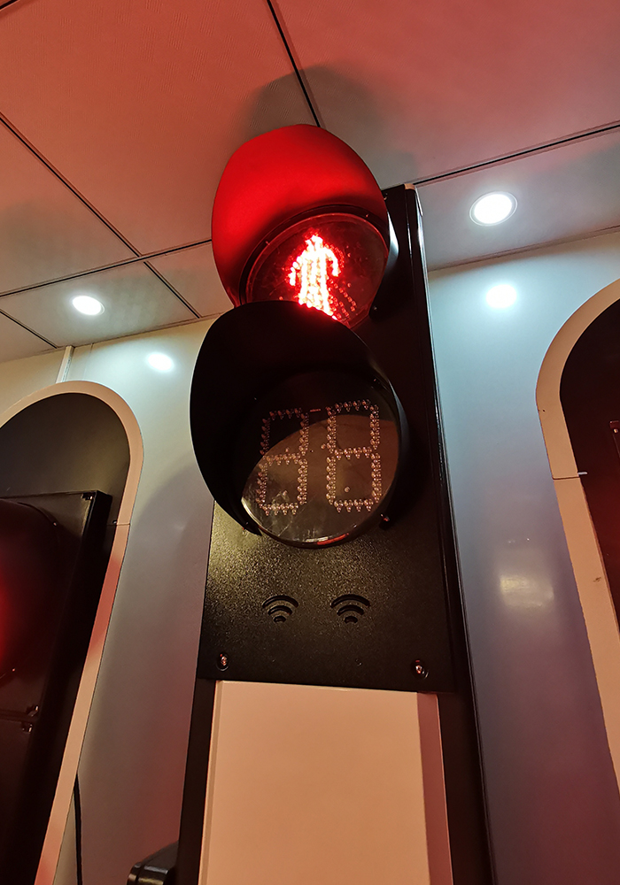 custom dynamics led signals