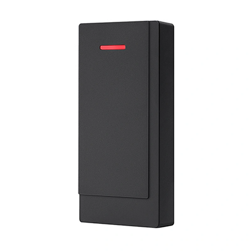 Big Capacity Standalone Access Controller
