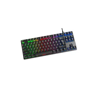 TKL Mechanical keyboard
