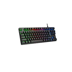 TKL Mechanical keyboard