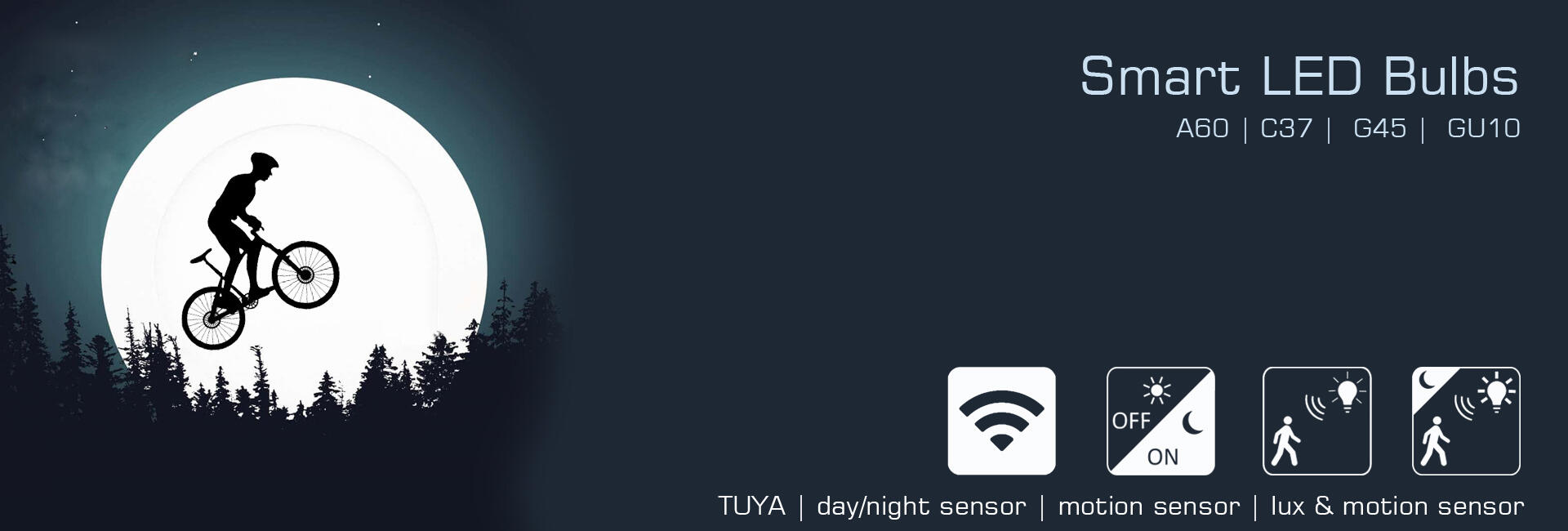 smart bulb