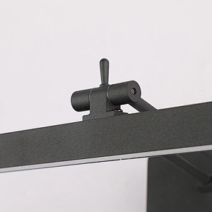 Adjustable LED Picture Lamp
