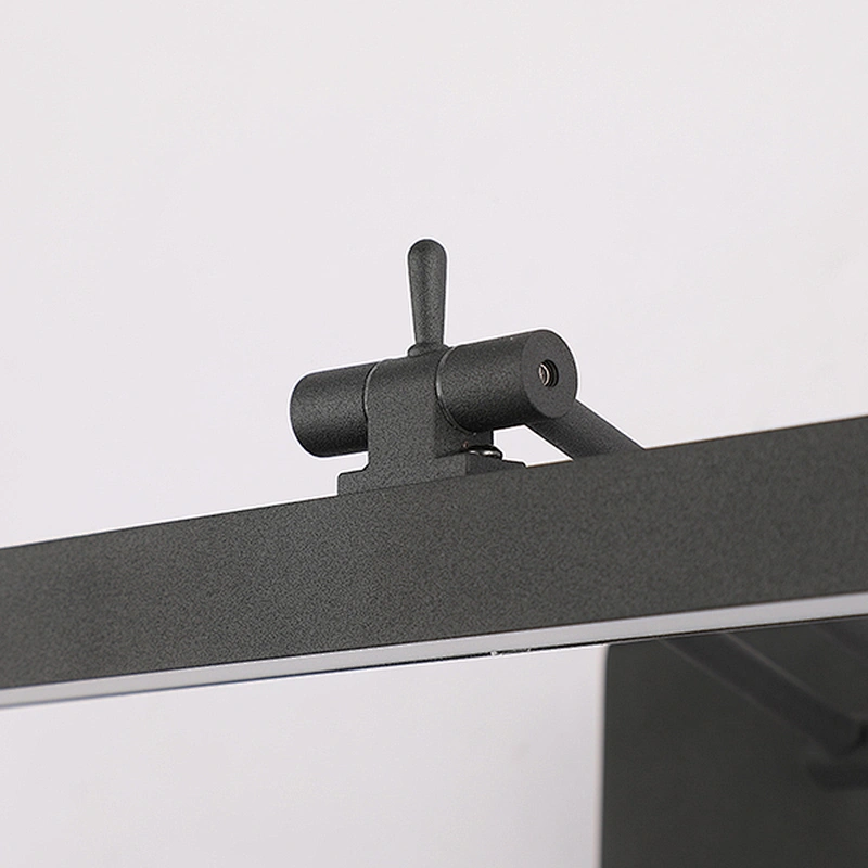 Adjustable LED Picture Lamp