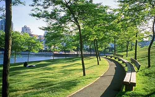 Smart commercial street sweeper on park walkway
