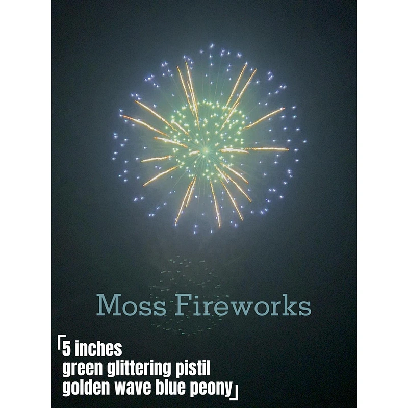 Festivals and Celebrations Explosives Salute Fireworks Bomb Pyrotechnic 5 Inch Display Shells Fireworks