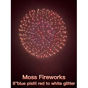 Chinese Fireworks Flare Feuerwerk Bumb Display Mortar Racks Professional Quality 8 Inch Display Shells For Celebration