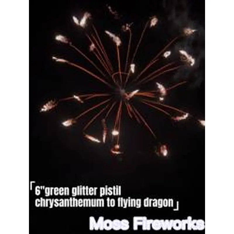 hot-selling 2023 most trendy factory price 6 inch pyro display shell fireworks flare missile feyyerverk