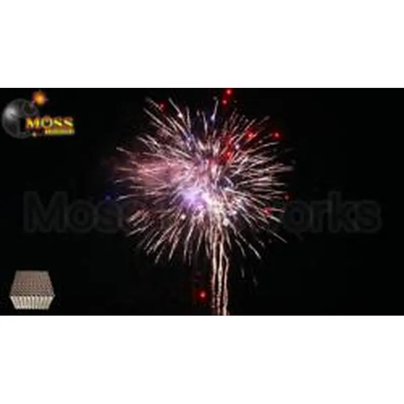 Professional Quality Explosives Flammes 100 Shots Cake Fireworks For ...