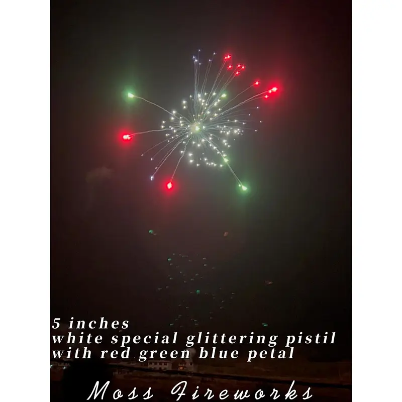 Festivals and Celebrations Explosives Salute Fireworks Bomb Pyrotechnic 5 Inch Display Shells Fireworks
