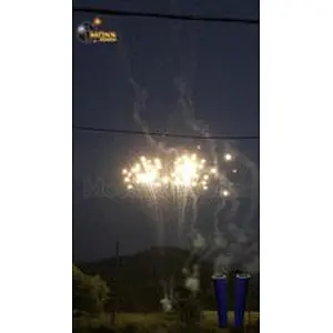 Professional Factory Supply Fogos de artificio Singolo Colpo di Fuochi D'artificio Single Shot Fireworks