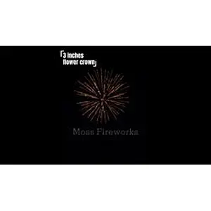 best-sales pop pop fire pumps 3 inch pyrotechnic factory cheap price artillery display shells Chinese fireworks