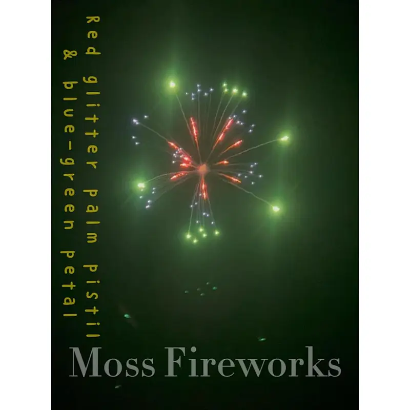 Festivals and Celebrations Explosives Salute Fireworks Bomb Pyrotechnic 5 Inch Display Shells Fireworks