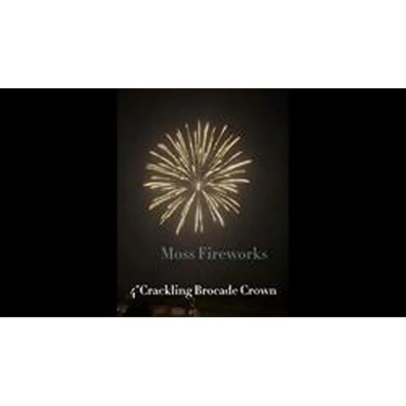 professional fireworks petardi vuurwerk pyro 4 inch artillery shells display shell fireworks for sale