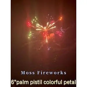 hot-selling 2023 most trendy factory price 6 inch pyro display shell fireworks flare missile feyyerverk