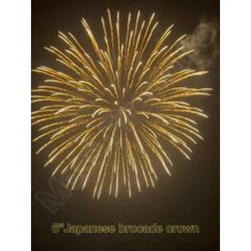 hot-selling 2023 most trendy factory price 6 inch pyro display shell fireworks flare missile feyyerverk