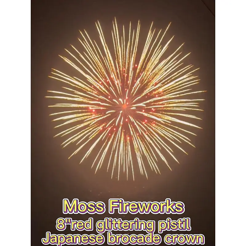 Chinese Fireworks Flare Feuerwerk Bumb Display Mortar Racks Professional Quality 8 Inch Display Shells For Celebration