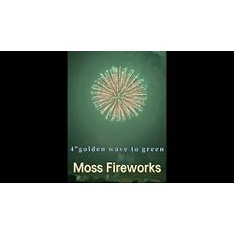 professional fireworks petardi vuurwerk pyro 4 inch artillery shells display shell fireworks for sale