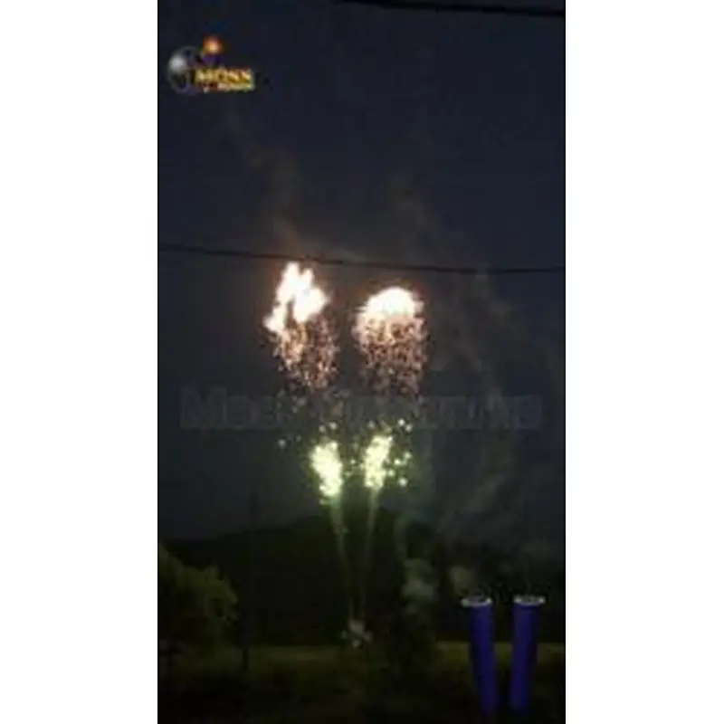 Fuegos artificiales de un solo tiro Chinese High Quality Single Shot Fireworks
