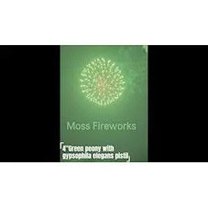 professional fireworks petardi vuurwerk pyro 4 inch artillery shells display shell fireworks for sale