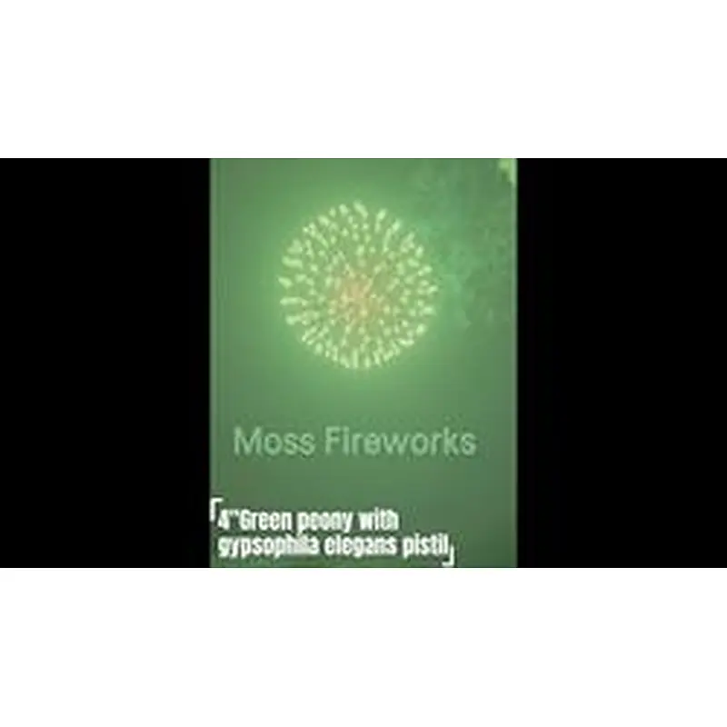 professional fireworks petardi vuurwerk pyro 4 inch artillery shells display shell fireworks for sale