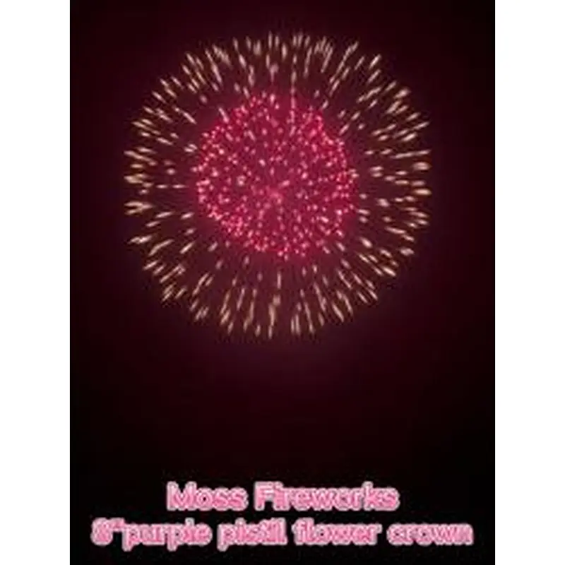 Chinese Fireworks Flare Feuerwerk Bumb Display Mortar Racks Professional Quality 8 Inch Display Shells For Celebration