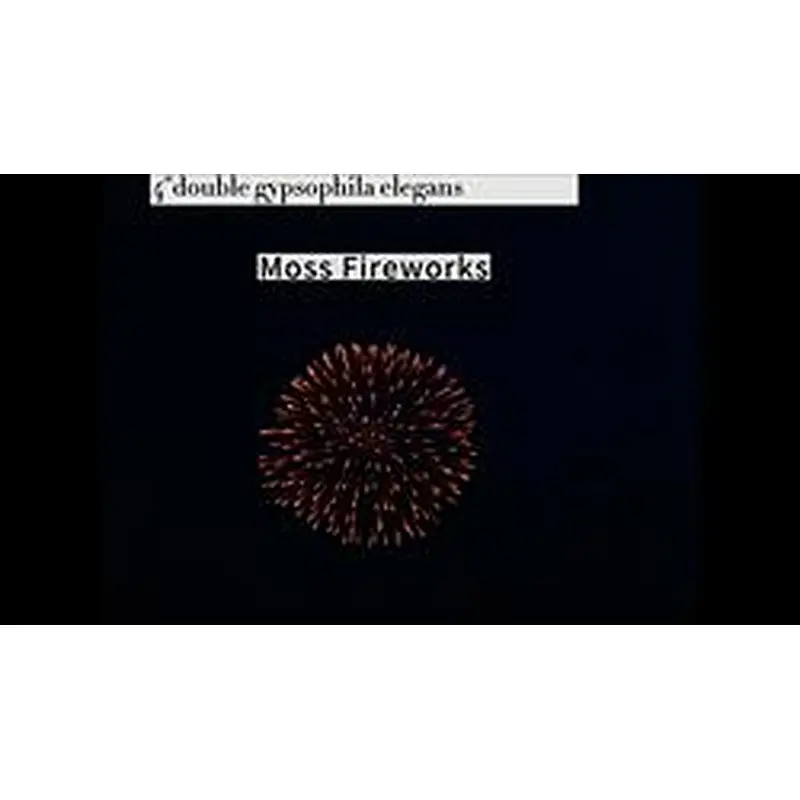 professional fireworks petardi vuurwerk pyro 4 inch artillery shells display shell fireworks for sale