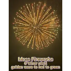 hot-selling 2023 most trendy factory price 6 inch pyro display shell fireworks flare missile feyyerverk