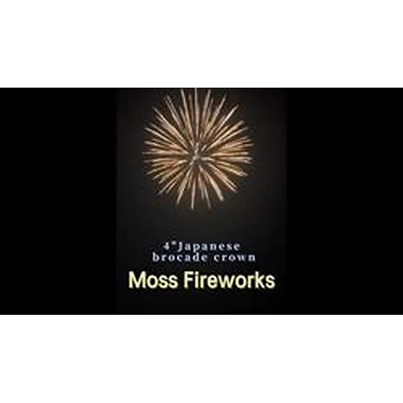 professional fireworks petardi vuurwerk pyro 4 inch artillery shells display shell fireworks for sale