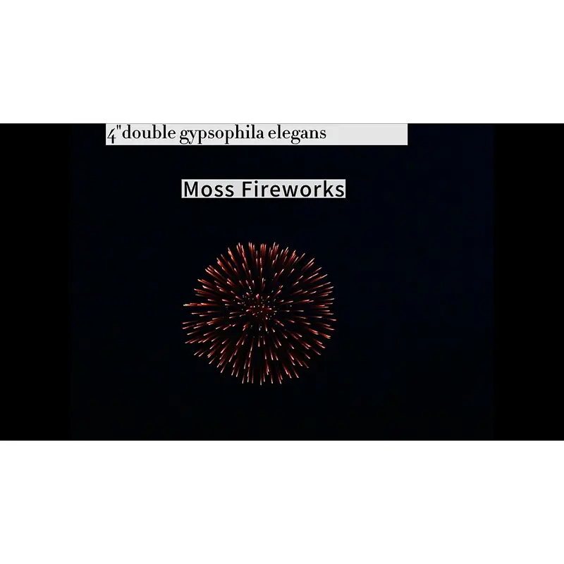 professional fireworks petardi vuurwerk pyro 4 inch artillery shells display shell fireworks for sale