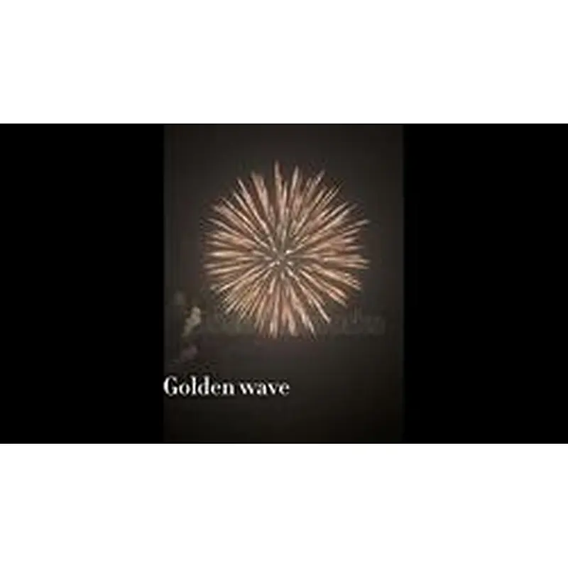 best-sales pop pop fire pumps 3 inch pyrotechnic factory cheap price artillery display shells Chinese fireworks