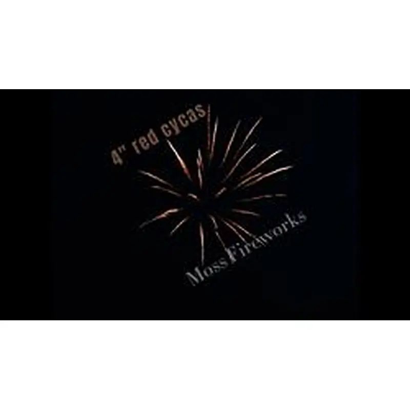 professional fireworks petardi vuurwerk pyro 4 inch artillery shells display shell fireworks for sale
