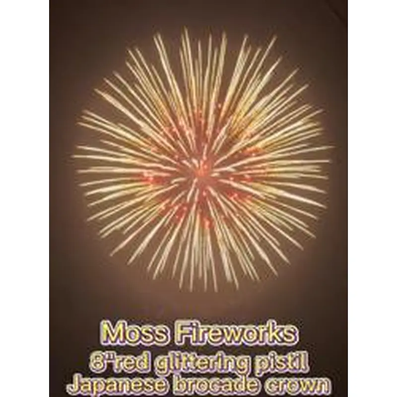 Chinese Fireworks Flare Feuerwerk Bumb Display Mortar Racks Professional Quality 8 Inch Display Shells For Celebration