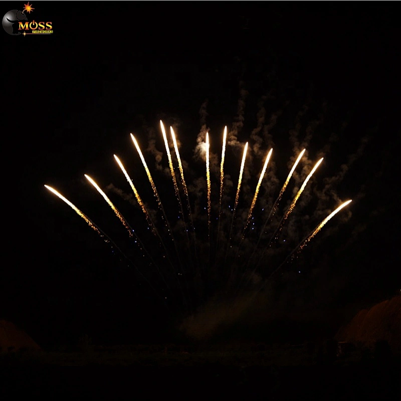 Fireworks Sky Shot New Year 1.2