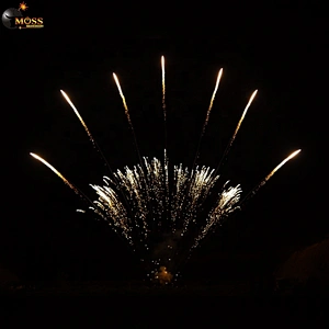 1.2 Inch 13 Shots Mines Fireworks Wholesale New Year Fireworks Firecrackers Pyrotechnics