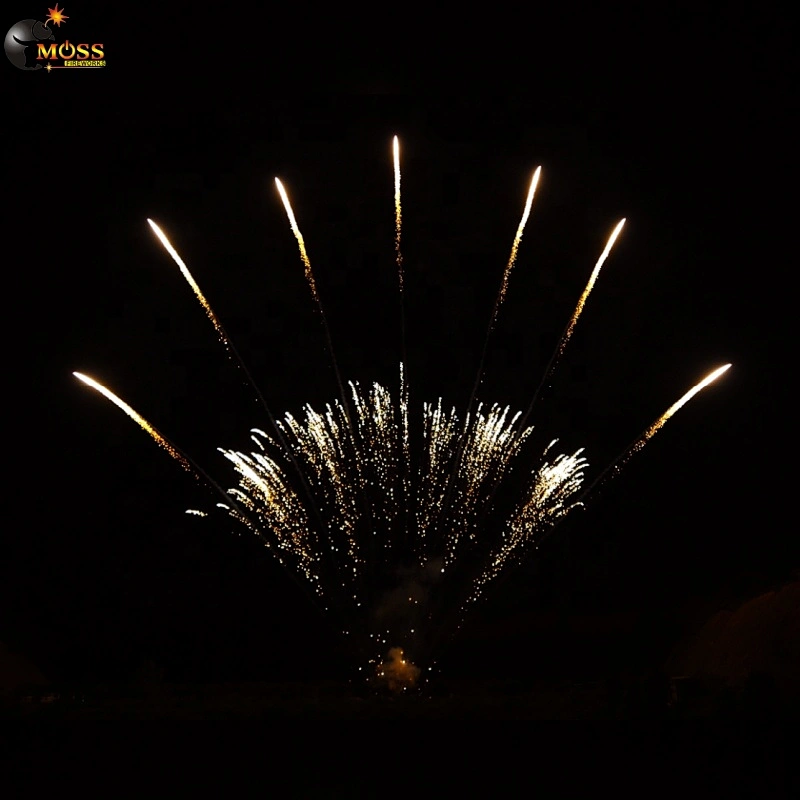1.2 Inch 13 Shots Mines Fireworks Wholesale New Year Fireworks Firecrackers Pyrotechnics